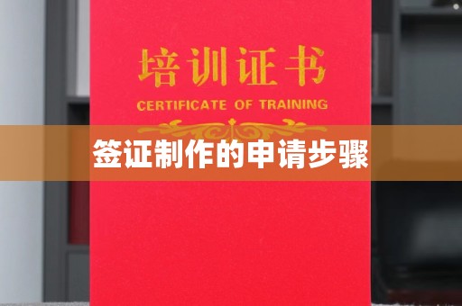 泾阳签证制作的申请步骤