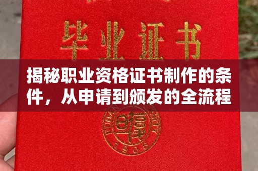 泾阳揭秘职业资格证书制作的条件，从申请到颁发的全流程解析