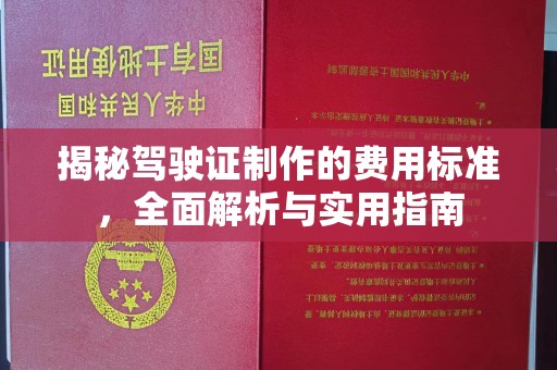 泾阳揭秘驾驶证制作的费用标准，全面解析与实用指南