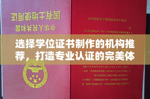 泾阳选择学位证书制作的机构推荐，打造专业认证的完美体验
