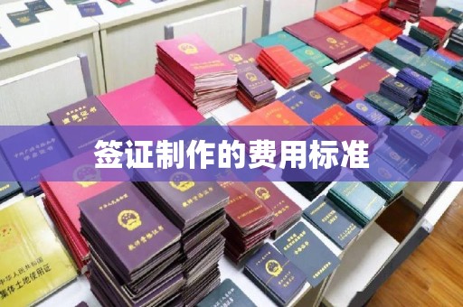 泾阳签证制作的费用标准
