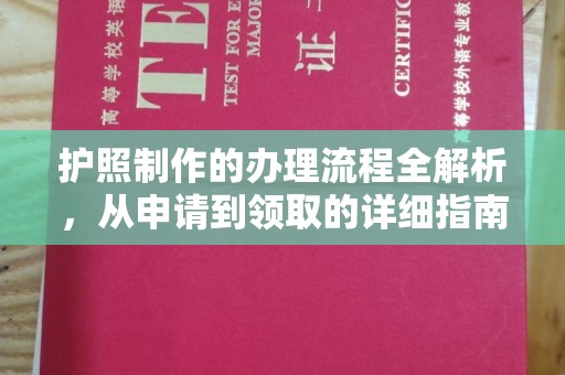泾阳护照制作的办理流程全解析，从申请到领取的详细指南